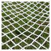 ALGWXQ Railing Stairs Safety Netting Wear-Resistant Child Safety Net Nylon Protection Net for Balcony, Garden, Playground32 Sizes Color : 5cm mesh, Size : 3x5m(10x16ft) view 1