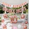10th Birthday Decorations for Girls Double Digits Pink Banner Rose Gold 10 Foil Star Balloon Confetti Balloons for Girls Cheers to 10 Years Old Birthday Supplies(10th) view 2