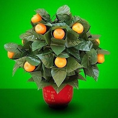 Stage Magic 15 Blooming Oranges - Remote Control- Magic Tricks