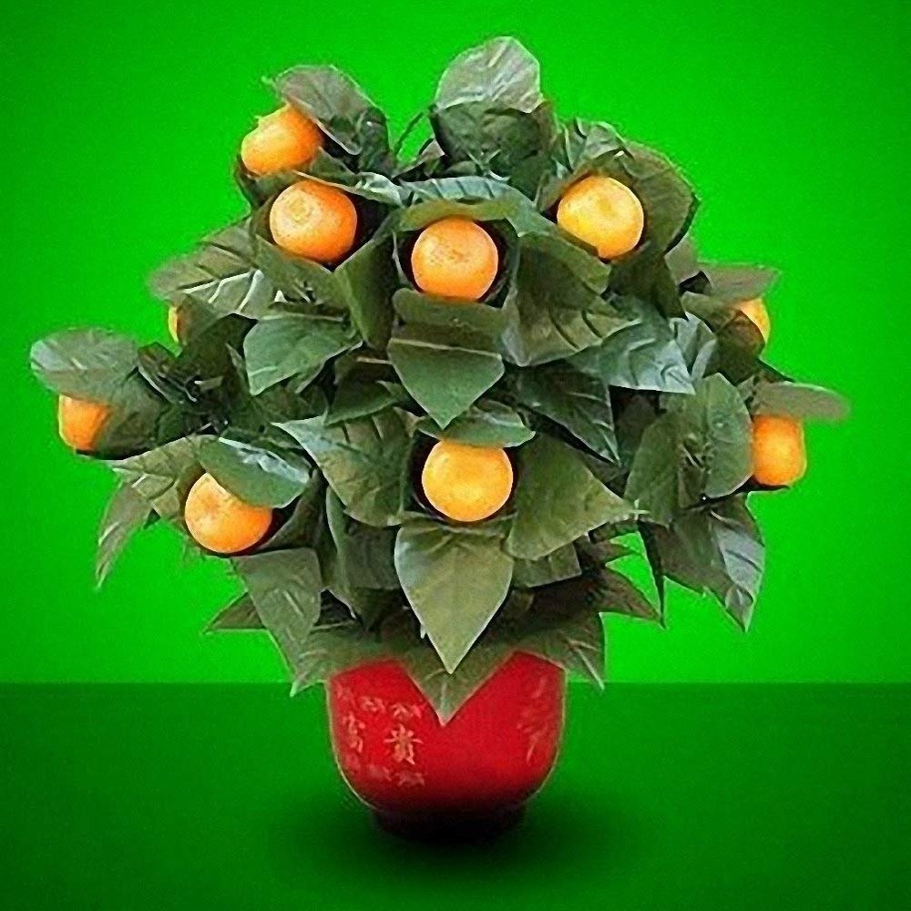Stage Magic 15 Blooming Oranges - Remote Control- Magic Tricks