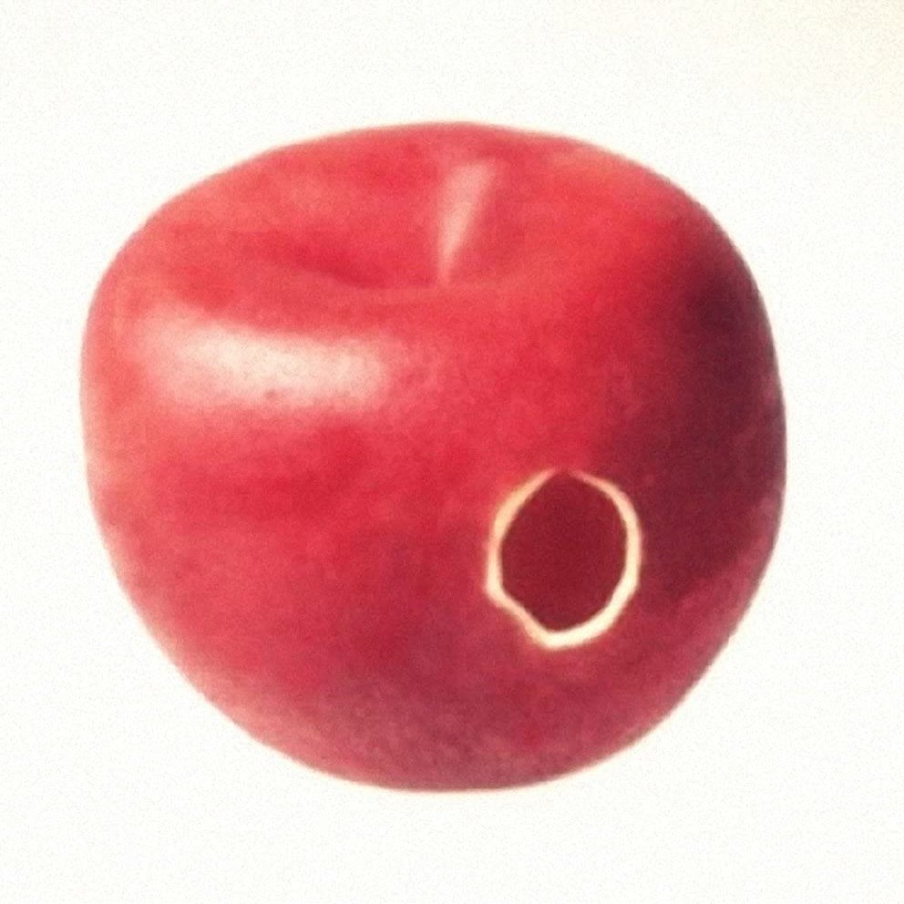 Magic Accessories Rubber Apple - Magic Trick