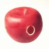Magic Accessories Rubber Apple - Magic Trick view 1