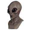 XYHJK Halloween Alien Mask Scary Horrible Big Eyes Horror Alien Mask Full Head Latex Mask Magic Mask Monster Mask (Color : 4) view 1