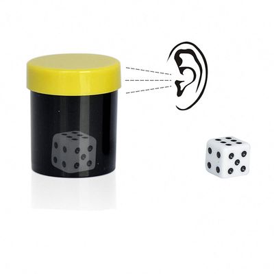 Crazy Cube - Talking Dice - Magic Trick