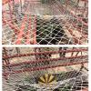 ALGWXQ Kid Safety Net Wear-Resistant Railing Stairs Nylon Netting for Balcony, Garden, Playground, Dog Cat Net, Strawberry Net Color : 10cm mesh, Size : 3x3m(10x10ft) view 4