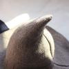 MYYHMA Modern Halloween Witch Hat-Women's Wool Pointed Witch Hat, Suitable for Halloween and Christmas Costume Party (Color : Brown) view 3