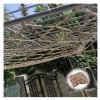 Hemp Rope Net Railing Heavy Duty Protective Net Child Treehouse Birds Net Playground Climbing Cargo Net Stair Fence Decor Net Kids Balcony Safety Grid 10cm (Size : 4 * 5m(13 * 16ft)) view 1