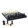 YKHB Chess Set,9.8Inch/25cm Portable Chess Set,Magetic Travel Chess Set,for Kids Adults Beginners Teens Toy Gift (Size : B) view 1