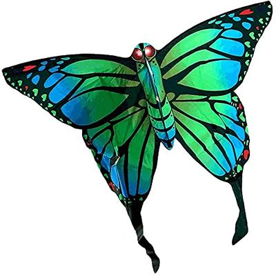 Kites for Kids Kites for The Beach Butterfly Beginner Kites for Adults Kids,Easy-to-Fly Kites with Kite String and Kite Reel,Perfect for Beach Travel LSDRALOBBEB 928(Color:Green;Size:500M LINE)