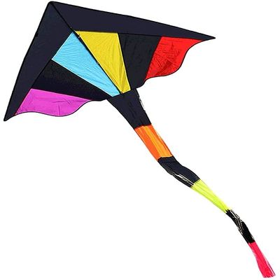 Kites for Kids Kites for the Beach Triangle Long Tail Kite with Kite String and Kite Reel Easy to Fly Children and Adults Beginner Kite, Very Suitable for Outdoor Activities-Colorful 180X325cm LSDRALO