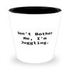 Cool Juggling Gifts, Don't Bother Me, I'm Juggling, Inappropriate Holiday Shot Glass Gifts For Men Women view 1