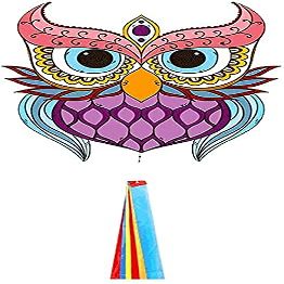 Kites for Kids Kites for The Beach Blue/Purple Kite with Tail,Cartoon Beginner Kite with Kite String for Kids Adults,Perfect for Outdoor Activities LSDRALOBBEB 929(Color:Purple;Size:400M LINE)