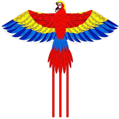 Kites for Kids Kites for The Beach Parakeet Kite with Kite Line,Easy to Fly,Beginner Kite for Adults and Children,Perfect for Beach Parks,Etc.-Blue/Red LSDRALOBBEB 929(Color:Red;Size:100M LINE)