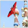 Kites for Kids Kites for The Beach Red Large Bat Kite with 140CM Tail,Huge Kite with 160CM Wingspan for Beginners Kids and Adults. Easy to Fly and Assemble LSDRALOBBEB 929(Color:300M String) view 4