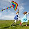 Kites for Kids Kites for The Beach Kite for Kids, Kite for Kids Adults Beginners Easy to Fly, Great Outdoor Games Activities, Kite Line and Tail Included LSDRALOBBEB 929 view 3