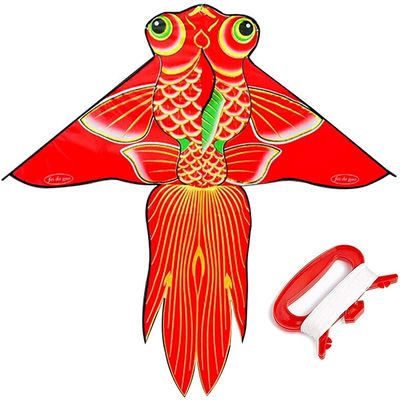 Kites for Kids Kites for The Beach Kite for Kids Easy to Fly Rainbow Color-Built to LastGreat Beginner Kite for Beach Outdoor Games and Activities LSDRALOBBEB 929