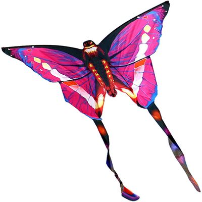 Kites for Kids Kites for The Beach Nylon Colorful Outdoor Butterfly Kite Butterfly Kites Outdoor Kites Flying Toys for with Line100m/200M LSDRALOBBEB 929(Color:Color 200m Line)