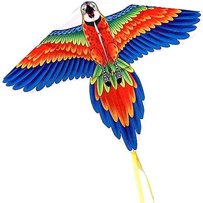 Kites for Kids Kites for The Beach Colorful Peacock Parrot Large Kite with Kite String,Easy-to-Fly Kite for Beginners Kids Adults,Great for Outdoor Activities-Blue LSDRALOBBEB 929(Color:800M String)