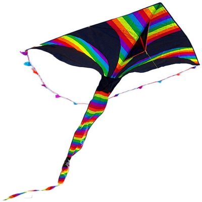 Kites for Kids Kites for The Beach Kite for Kids Easy to Fly Bird Kite for Kids,Beautiful Rainbow Kite Easy to Assemble,Great Gift to Kids Childhood Precious Memories LSDRALOBBEB 929