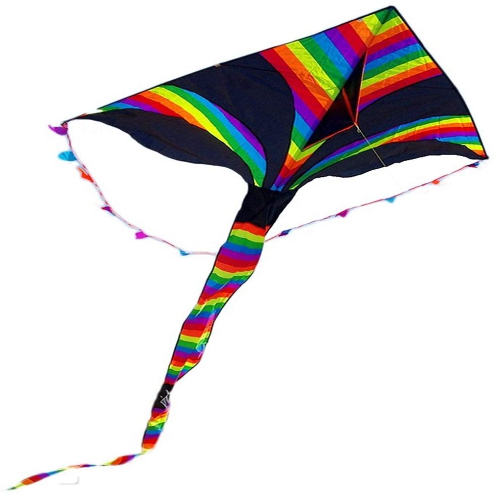 Kites for Kids Kites for The Beach Kite for Kids Easy to Fly Bird Kite for Kids,Beautiful Rainbow Kite Easy to Assemble,Great Gift to Kids Childhood Precious Memories LSDRALOBBEB 929