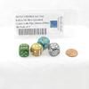are You Kitten Me Dice Assorted Colors with Pips 16mm (5/8in) D6 Pack of 4 Wondertrail view 2