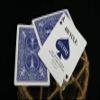 Bicycle Euchre Playing Cards view 2
