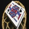 Bicycle Euchre Playing Cards view 3