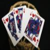 Bicycle Euchre Playing Cards view 4