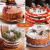 10 Pieces Forest Animals Figures Miniature Woodland Animal Figurines Small Squirrel Beaver Rabbit Deer Family Educational Playset Toys Cake Toppers for Graduation Gift Birthday Party Supplies view 4