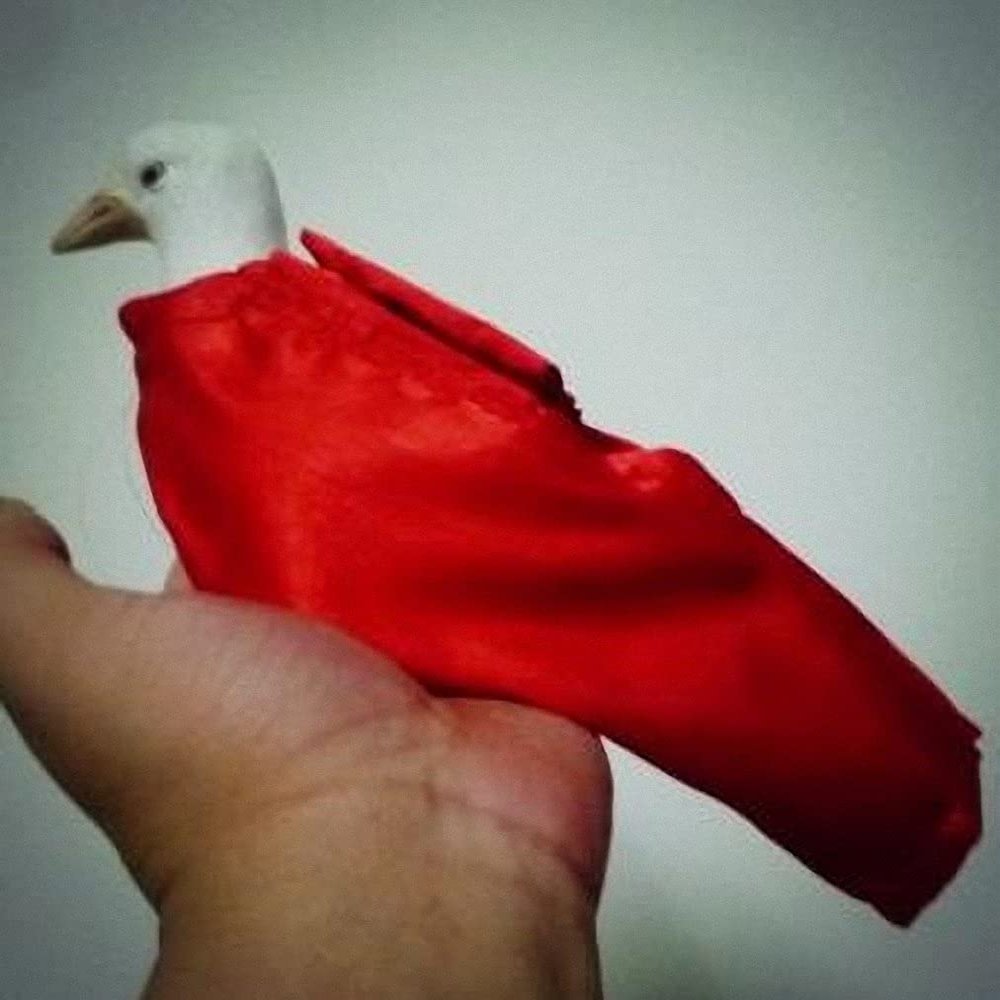 Close Up Magic Tricks Professional Dove Bag and Dove Bag Holder Set Red - Magic Trick
