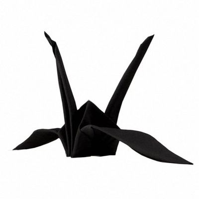Close Up Magic Tricks Origamagic Magic Trick - Black - Magic Trick