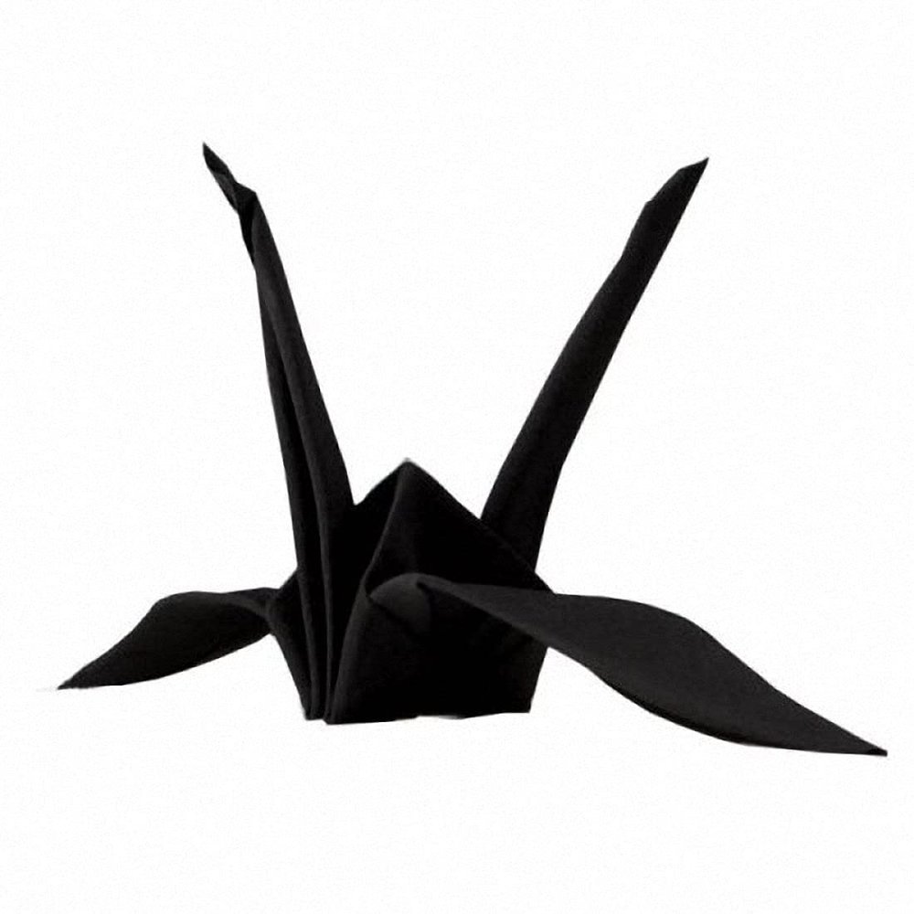 Close Up Magic Tricks Origamagic Magic Trick - Black - Magic Trick