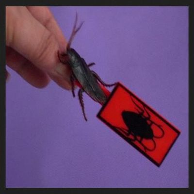 Close Up Magic Tricks 2 pcs Jumping Cockroach - Magic Trick