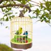 GZYF Singing Chirping Bird in Cage Realistic Sound Activated Chirp - Green and Blue view 4