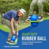 Flybar Pogo Trick Ball for Kids, Trick Bounce Board for Boys and Girls Ages 6+, Up to 160 lbs, Includes Pump, Easy to Carry Handle, Durable Plastic Deck Indoor, Outdoor Toy Pogo Jumper (Dino) view 3