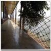 Rope Net Wall Decor Net Birds Climbing Cargo Net Playground Swingset Rope Ladder Heavy Duty Treehouse Play Safety Net Balcony Stairs Garden Protection Net (Size : 3 * 3m(10 * 10ft)) view 3