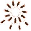 15 Pcs Prank Fake Roaches Model Pretty Creepy Fake Cockroach Realistic Plastic Bugs Trick Joke Roach Look Real Scary Insects Novelty Lifelike Cockroaches for Party Favors Halloween Decoration view 1