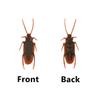 15 Pcs Prank Fake Roaches Model Pretty Creepy Fake Cockroach Realistic Plastic Bugs Trick Joke Roach Look Real Scary Insects Novelty Lifelike Cockroaches for Party Favors Halloween Decoration view 4
