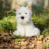 Animigos World of Nature Westie Dog view 3