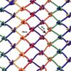 LUOFDCLDDD Fence Net Protective Net, Anti-Fall Net, Garden Plants Flowers Vegetables Black Climbing Net, Children's Baby Pet Loft Stairs Balcony Window Safety Net, Grid 8Mm * 5Cm/3 * 7M view 2
