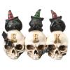 Unknown1 5" Eek Skulls with Black Cats view 1