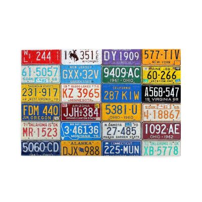 1000 Piece Puzzles Car Old License Plates Jigsaw Puzzles for Adults Halloween Decor for Christmas Family Party,Large, Multicolor