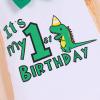 1st Birthday Outfit for Boys Gentleman Bowtie Romper+Diaper Cover Shorts+Y-Back Suspenders 3pcs Set First Birthday Party Cake Smash Dinosaur Fancy Costume Photo Shoot Green-1st Briefs 6-12 Months view 4