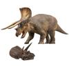 PNSO Dinosaur Museums Series (New Doyle The Triceratops 1:35 Scientific Art Model) view 1