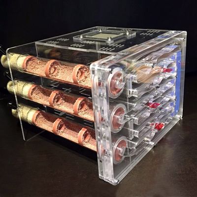 MTFZD Ant Farm DIY Acrylic Ant Farm Ecological Bamboo Tube Ant Nest 3 Tubes Habitat Ant House Insect Villa with Feeding Area Workshop Pet Anthill 1916.414cm Anthill Pet Workshop Box (Color : A)