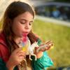 Schleich bayala - 7" Rainbow Unicorn Figure - Unicorn Toy for Girls and Boys - Fantasy Horse Figurine for Kids Ages 5+ view 3