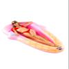 BigMouth Inc. Large Funny Inflatable Raft, Guarded Sides & Headrest, 6 ft Long Heavy Duty Pool Float - Ice Cream view 2