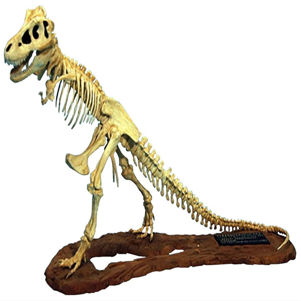 Gurenco Model GM07906 1/24 Tyrannosaurus Skeleton Model Plastic Model, Molded Color