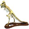 Gurenco Model GM07906 1/24 Tyrannosaurus Skeleton Model Plastic Model, Molded Color view 1