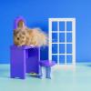 Totority Dollhouse Window Model 1 12 Scale White Synthetic Material for DIY Decoration Perfect for Modern and Traditional Interiors view 4
